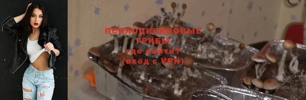 шишки Алексеевка