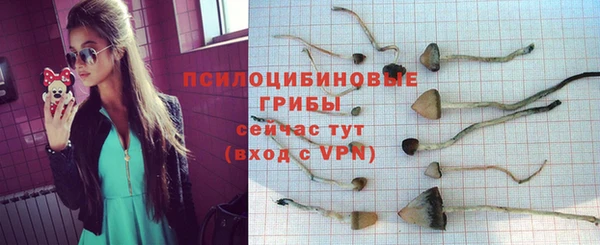 МДМА Нея