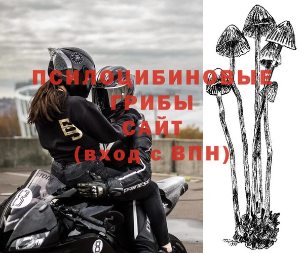 шишки Алексеевка