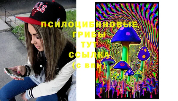 прущая мука Алагир